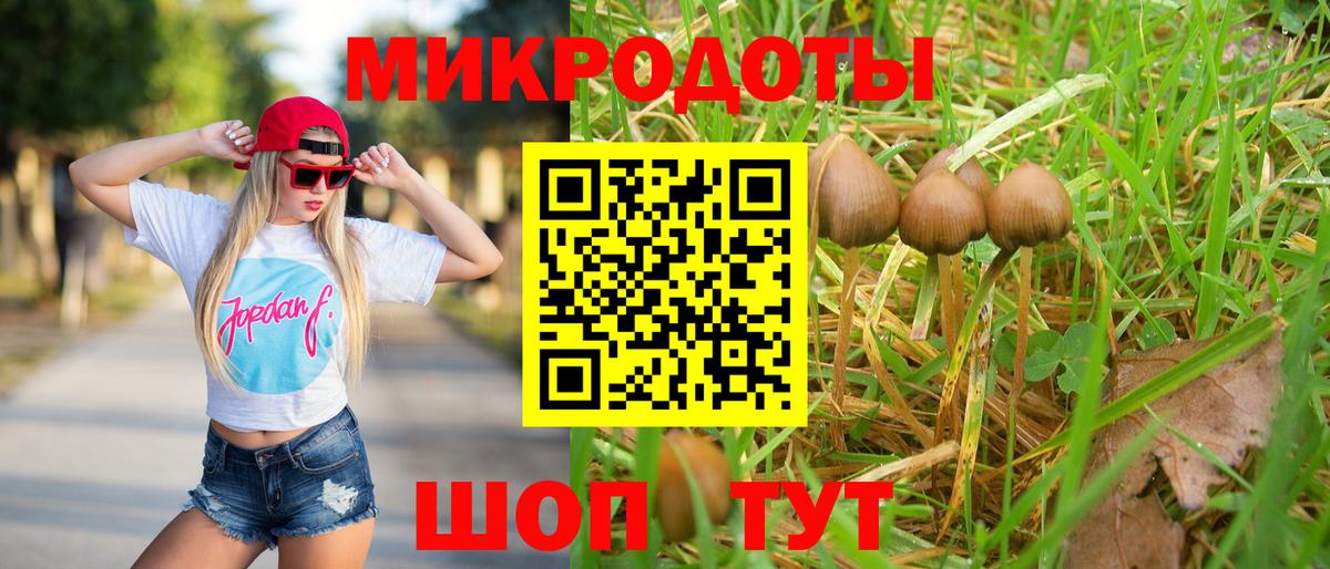 Псилоцибиновые грибы мицелий Большой Камень