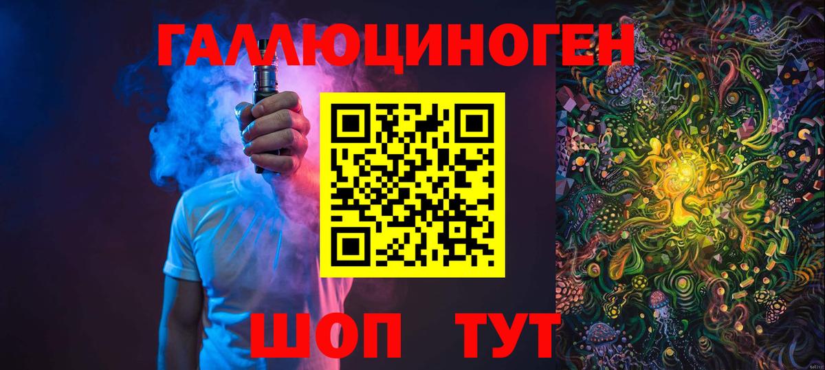 Большой Камень  Псилоцибиновые грибы MAGIC MUSHROOMS  Вход с VPN 